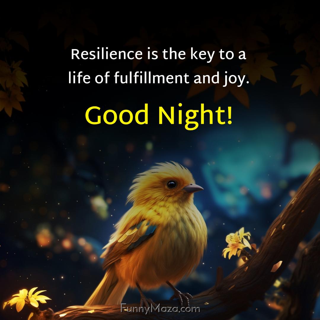 Resilience is the key to a life of fulfillment and joy