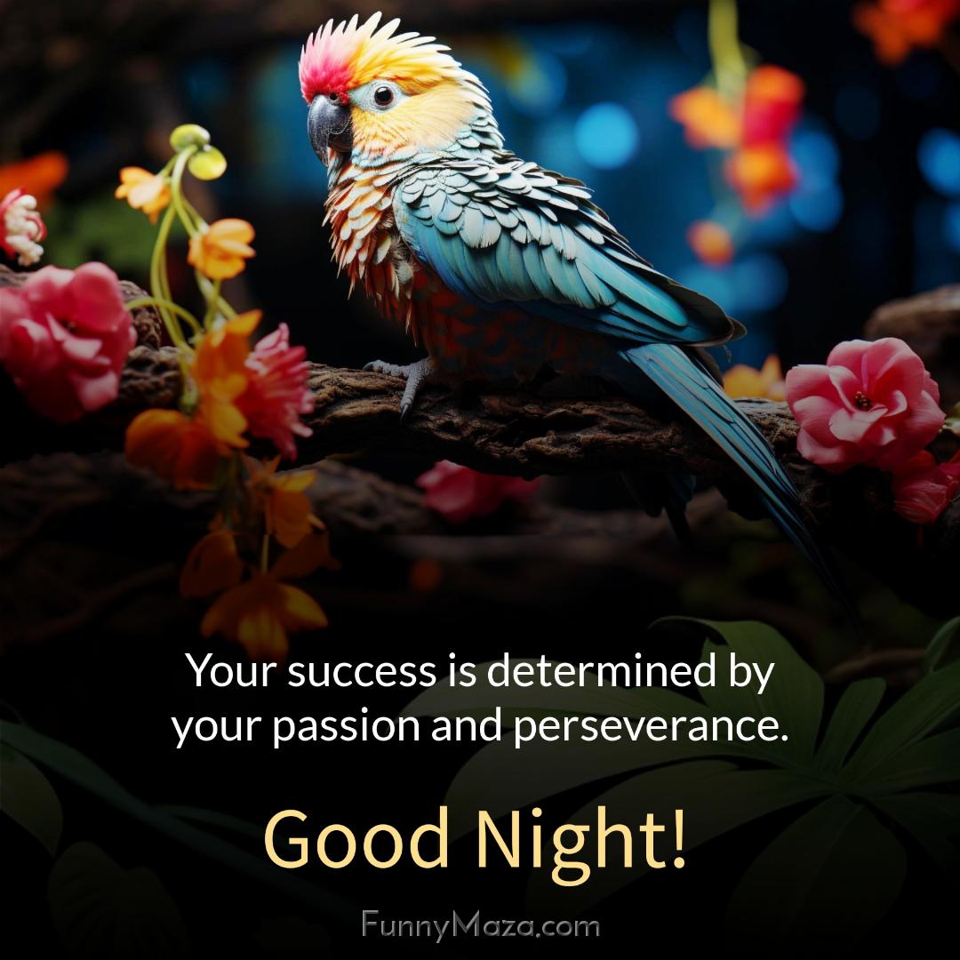 Your success is determined by your passion and perseverance