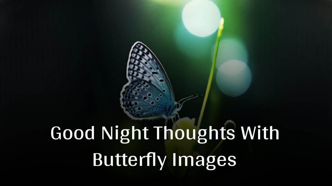 Good Night Thoughts With Butterfly Images