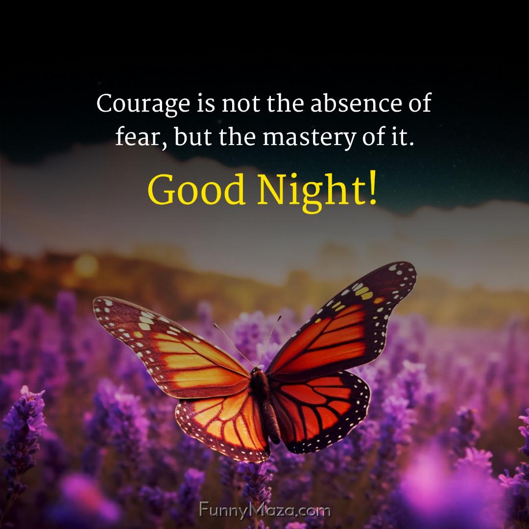 Courage is not the absence of fear but the mastery of