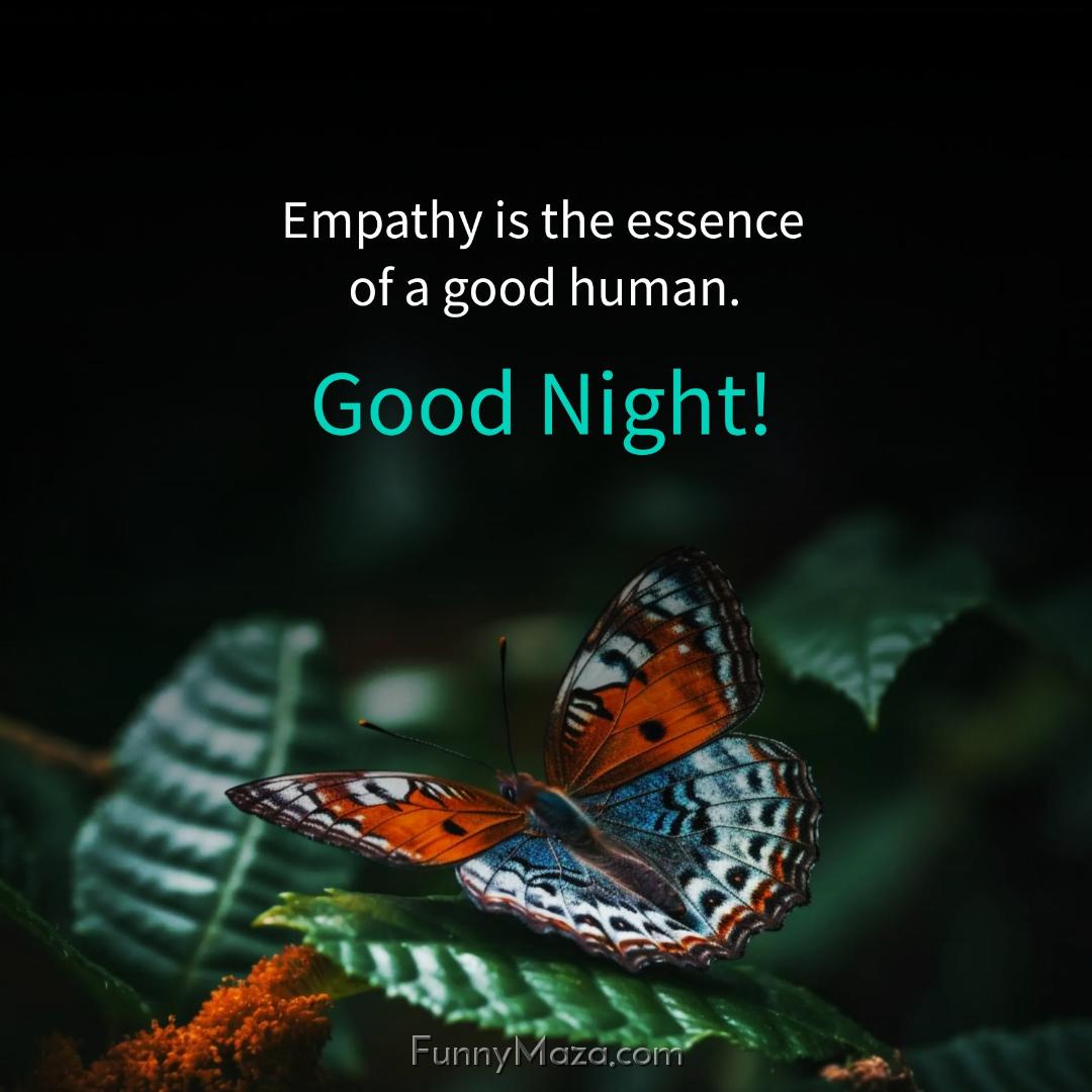 Empathy is the essence of a good human