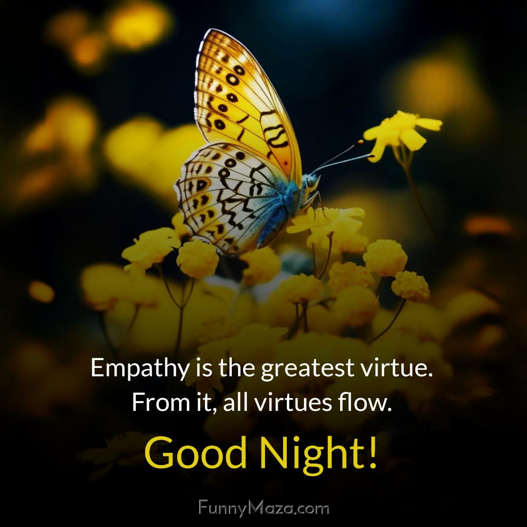 Empathy is the greatest virtue From it all virtues flow