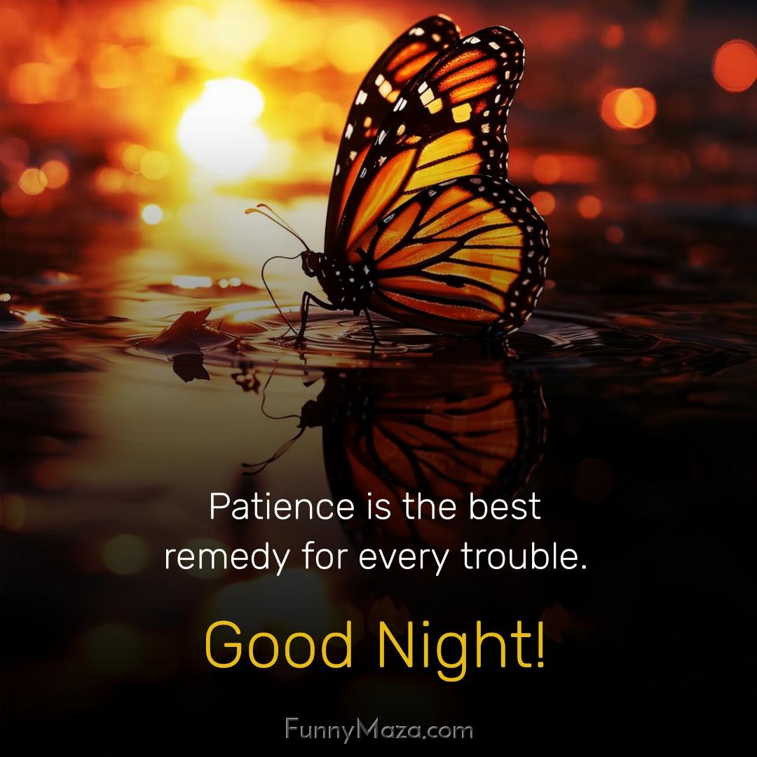 Patience is the best remedy for every trouble