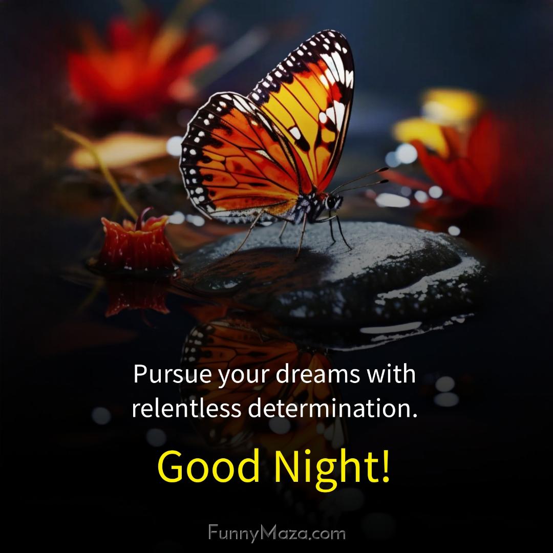 Pursue your dreams with relentless determination