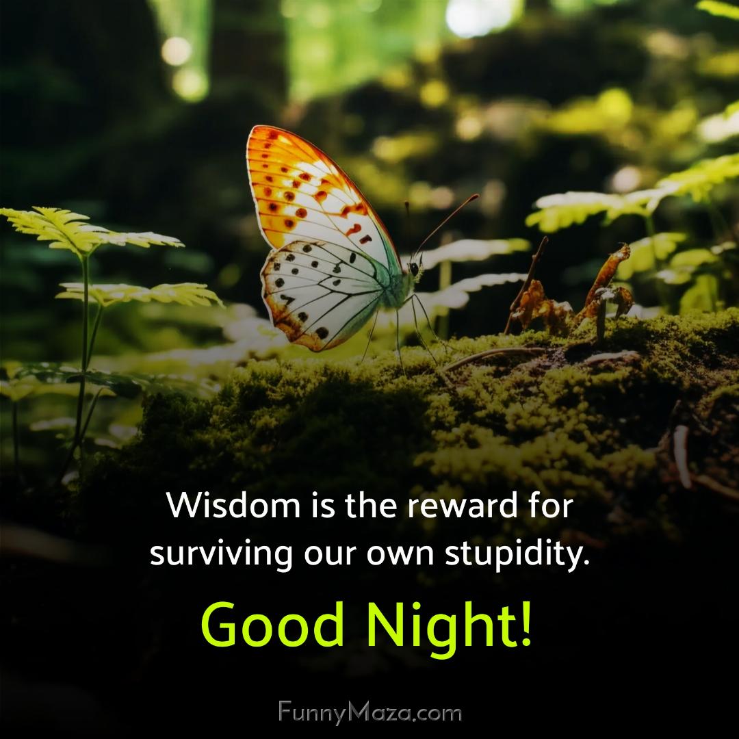 Wisdom is the reward for surviving our own stupidity