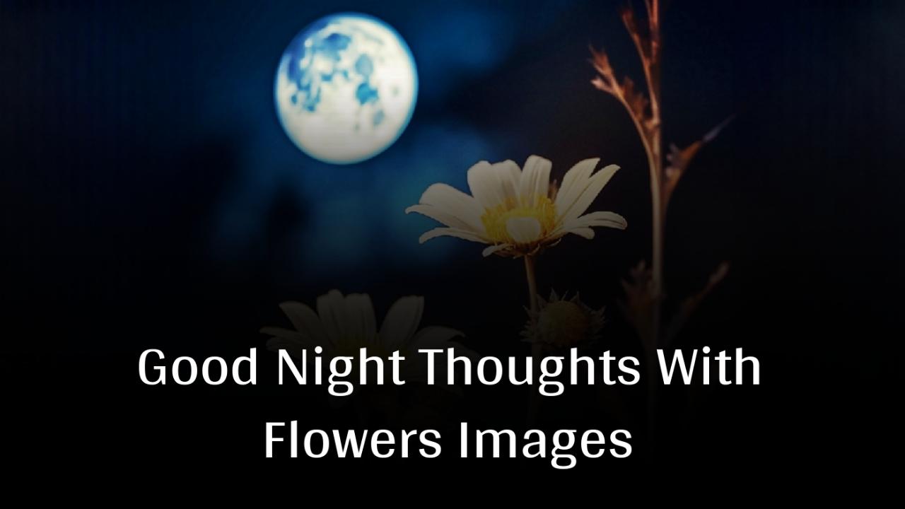 Good Night Thoughts With Flowers Images