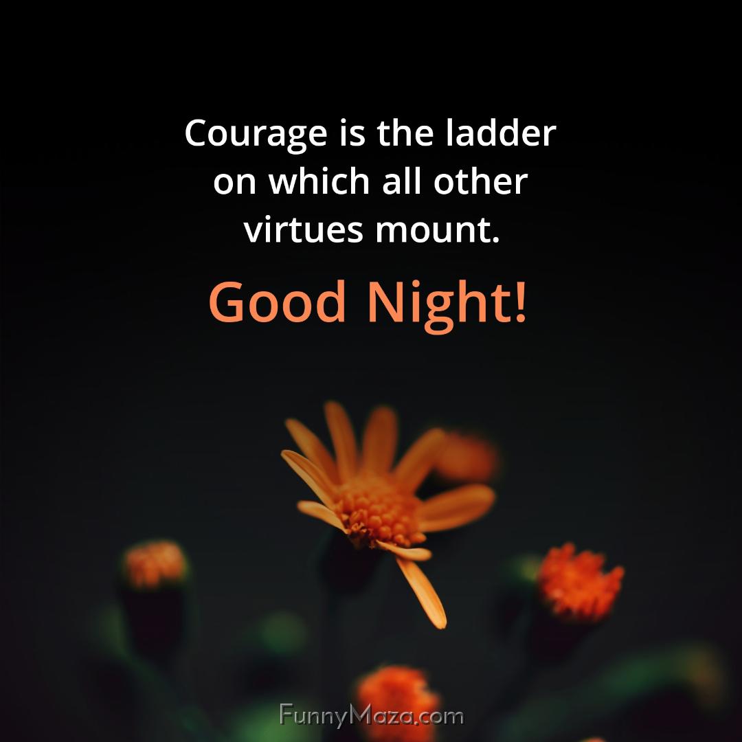 Courage is the ladder on which all other virtues mount