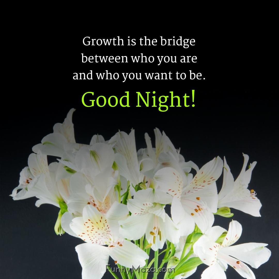 Growth is the bridge between who you are and who you