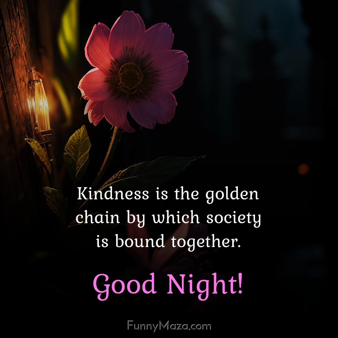 Kindness is the golden chain by which society is bound together