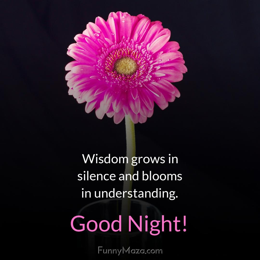 Wisdom grows in silence and blooms in understanding