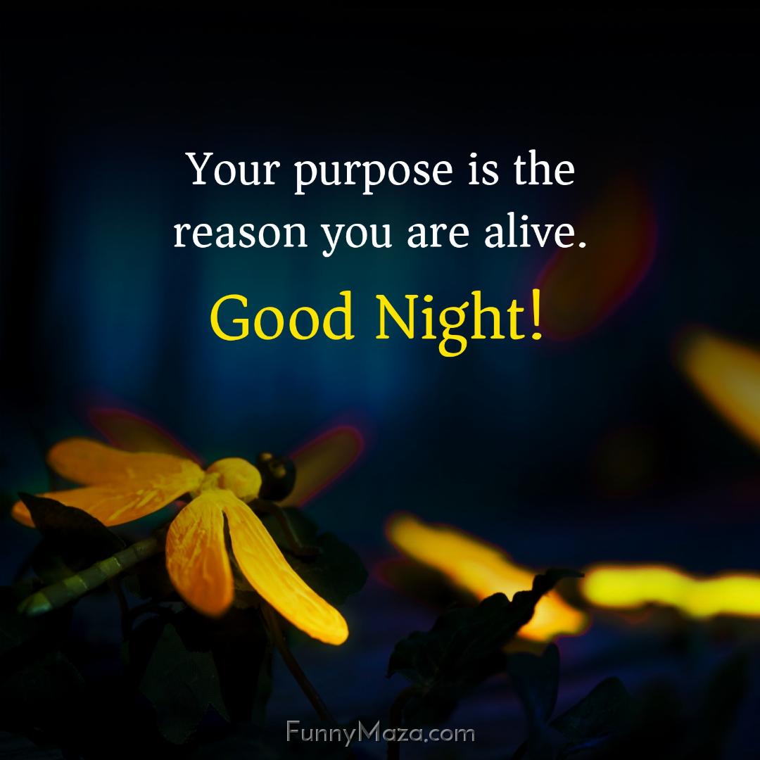 Your purpose is the reason you are alive