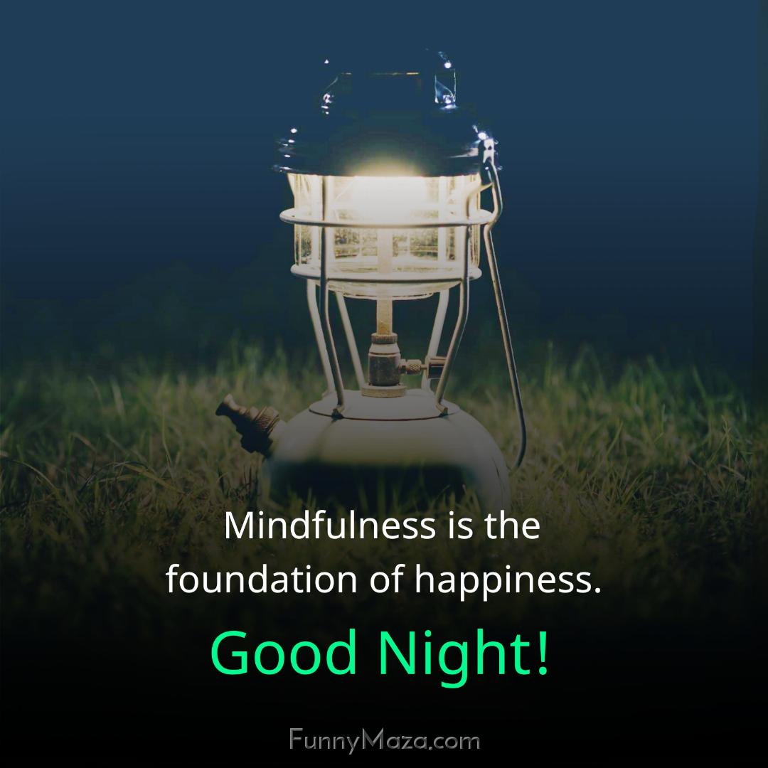 Mindfulness is the foundation of happiness