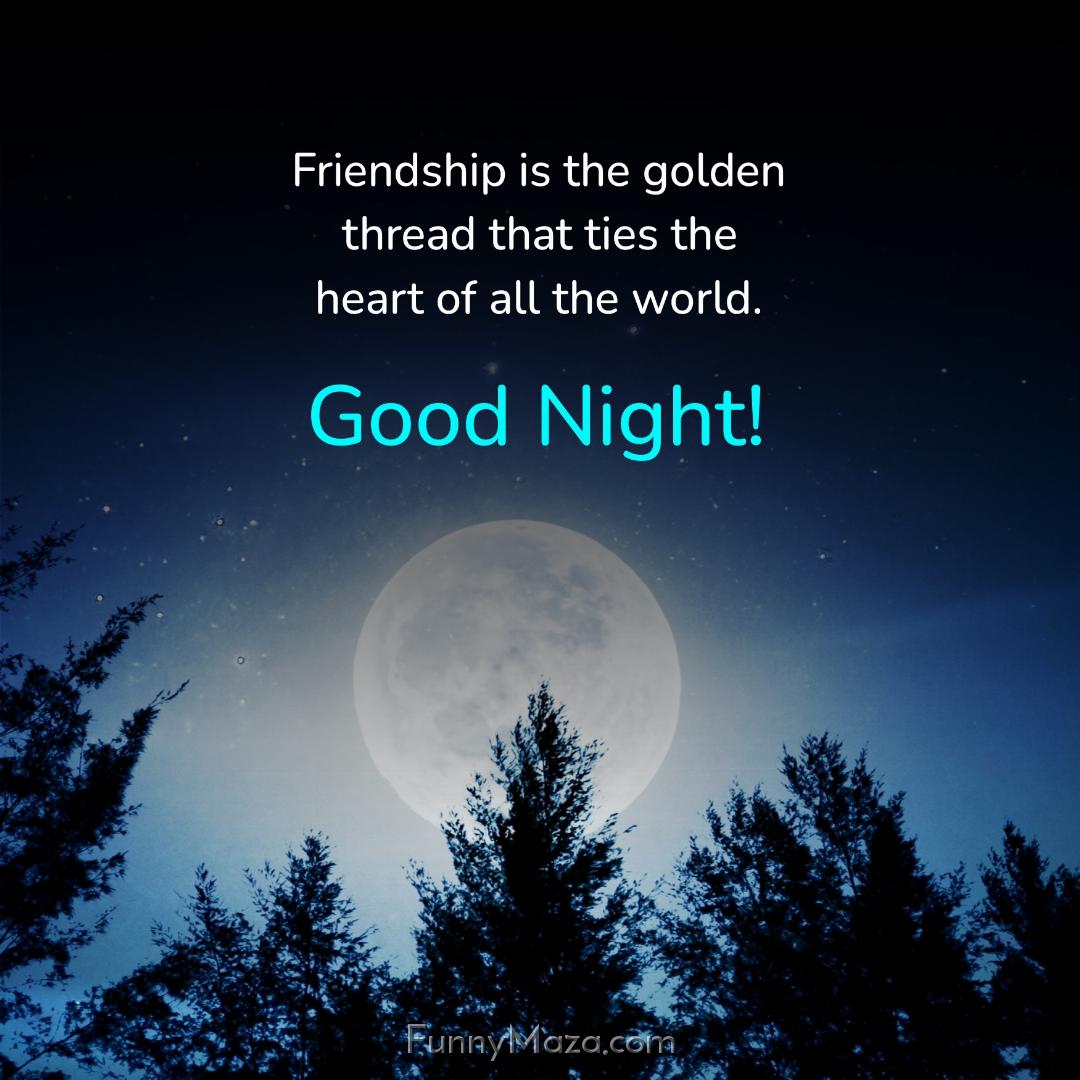 Friendship is the golden thread that ties the heart of all