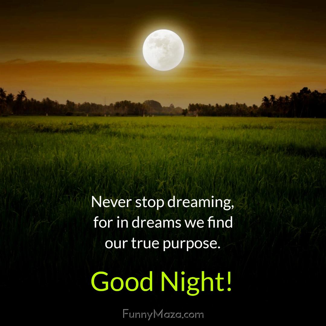 Never stop dreaming for in dreams we find our true purpose