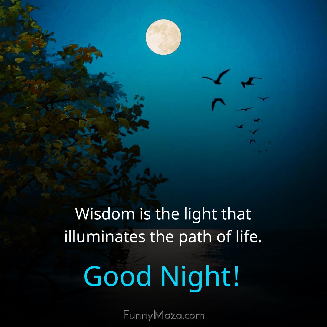 Wisdom is the light that illuminates the path of life