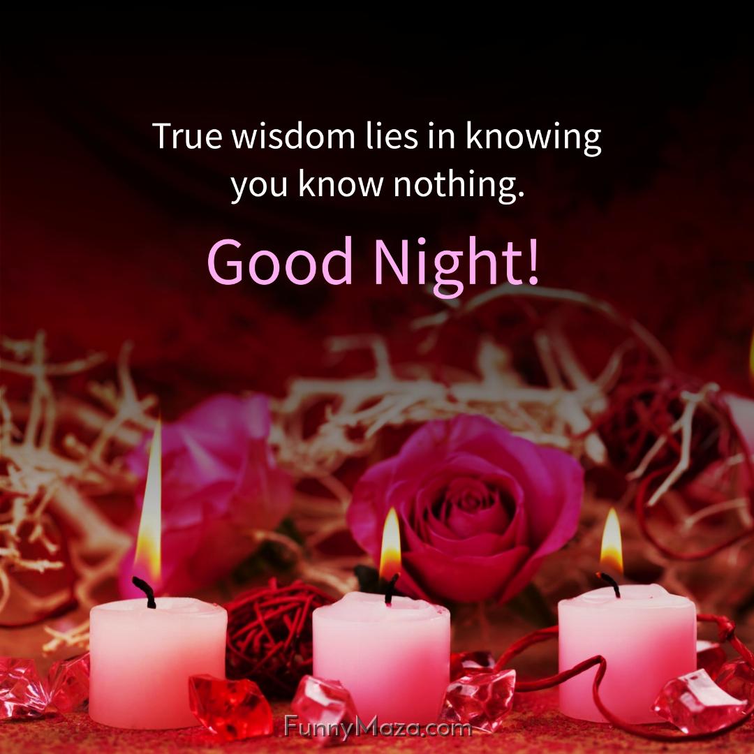 True wisdom lies in knowing you know nothing