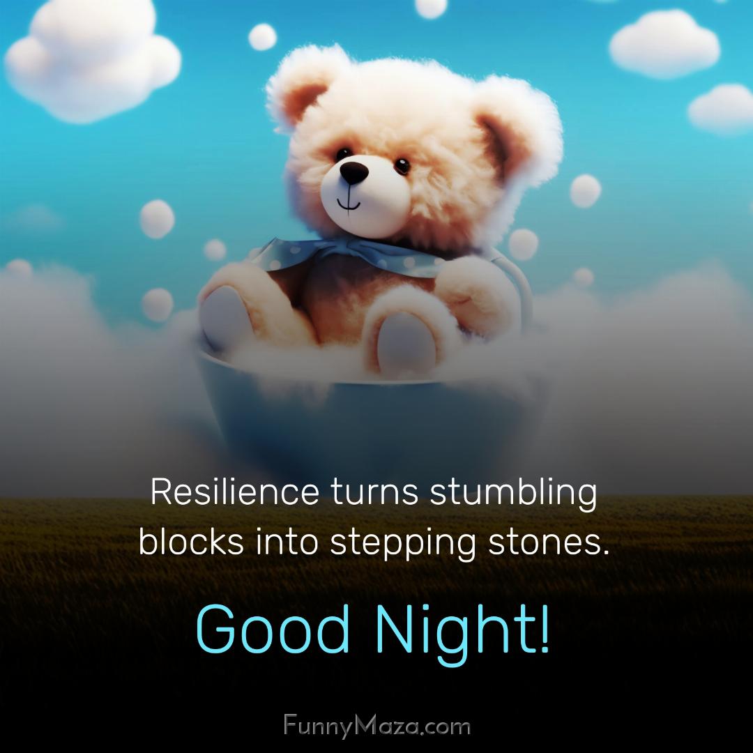 Resilience turns stumbling blocks into stepping stones