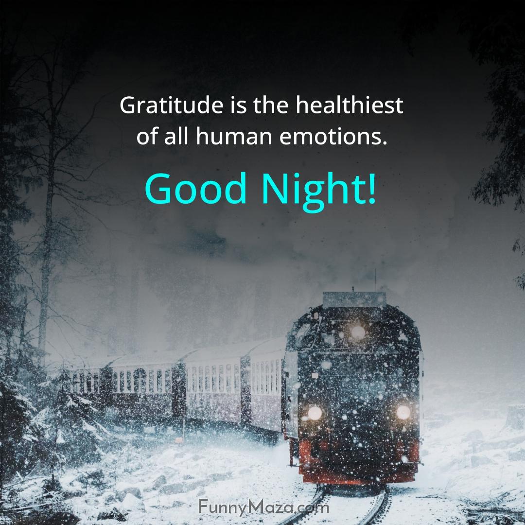 Gratitude is the healthiest of all human emotions