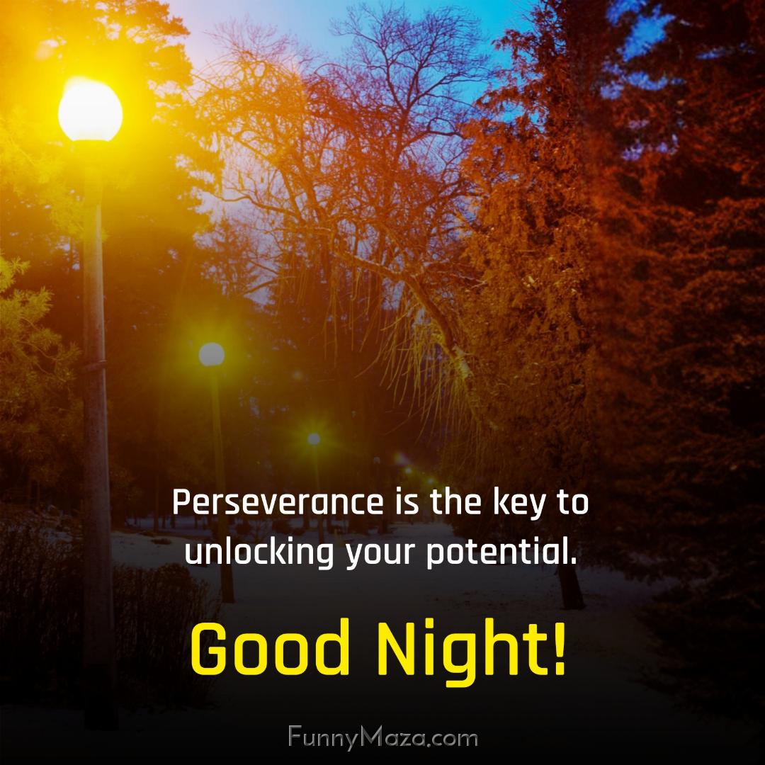 Perseverance is the key to unlocking your potential