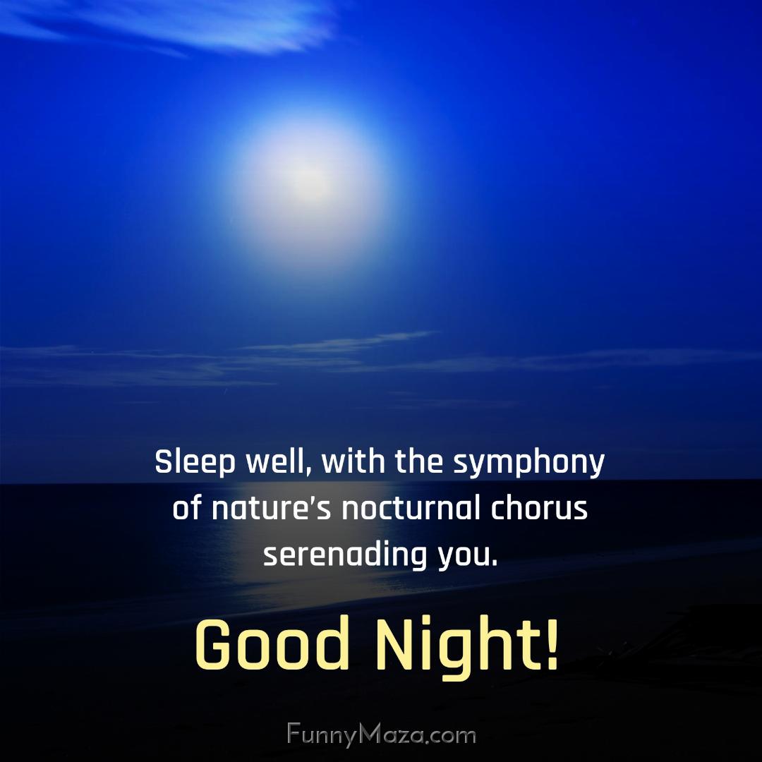 Sleep well with the symphony of nature’s nocturnal chorus serenading you