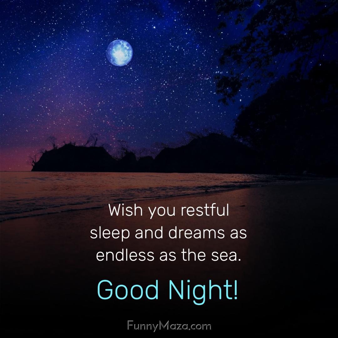 Wish you restful sleep and dreams as endless as the sea