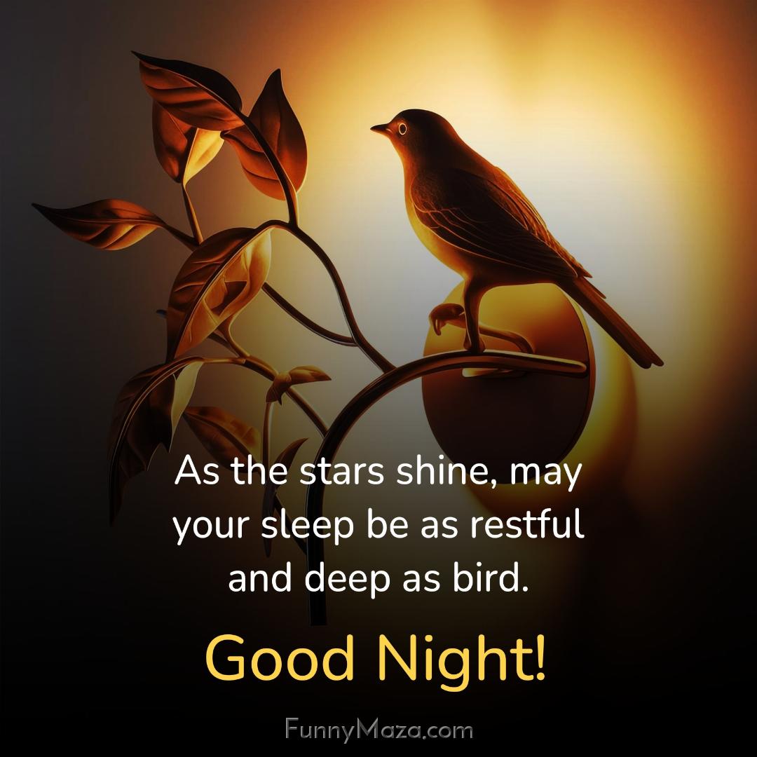 As the stars shine may your sleep be as restful and