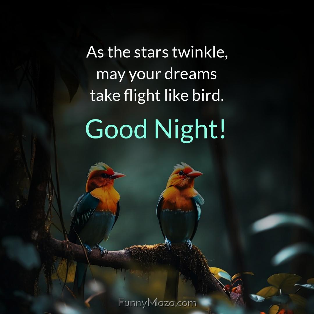 As the stars twinkle may your dreams take flight like bird