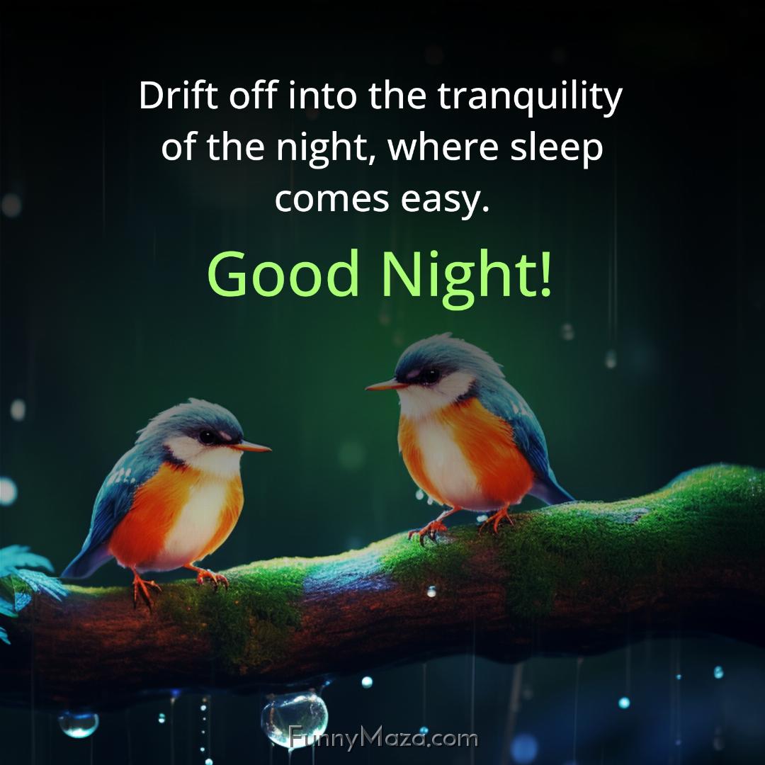 Drift off into the tranquility of the night where sleep comes