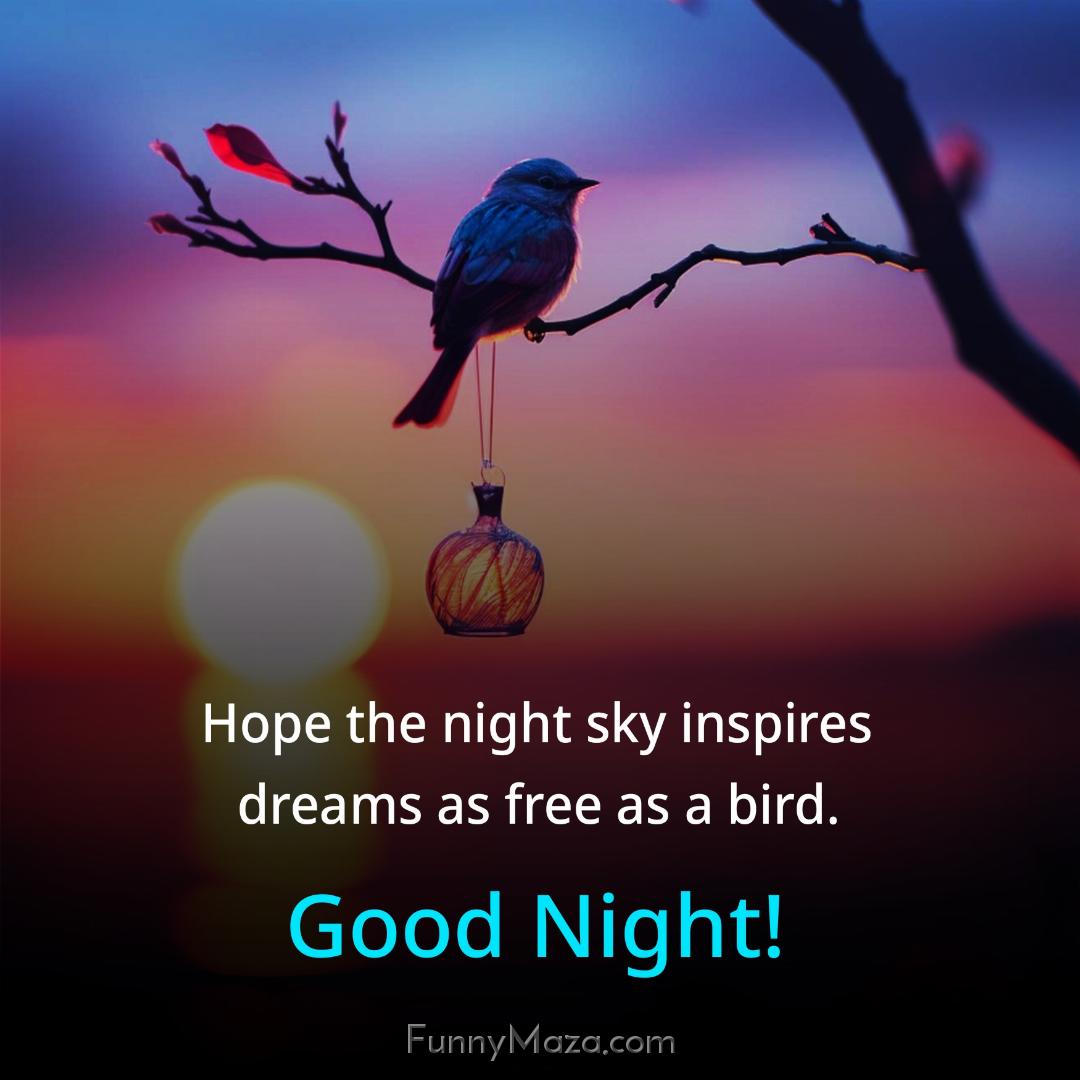 Hope the night sky inspires dreams as free as a bird