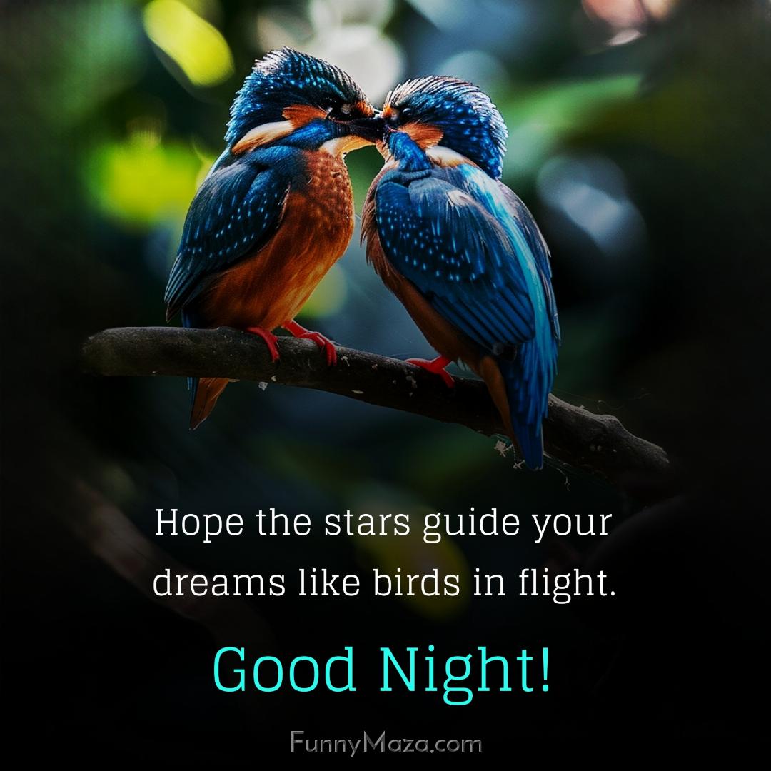 Hope the stars guide your dreams like birds in flight