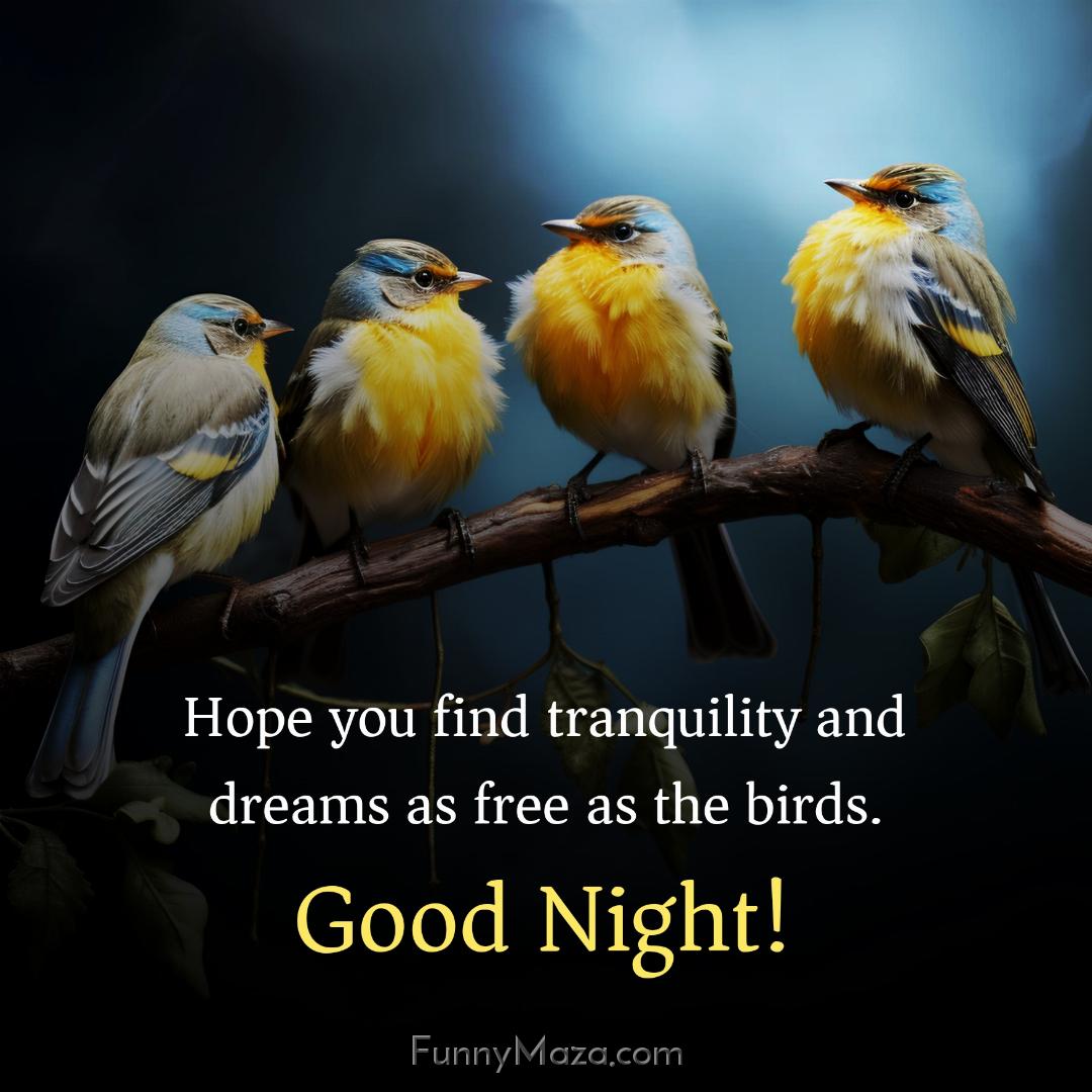 Hope you find tranquility and dreams as free as the birds