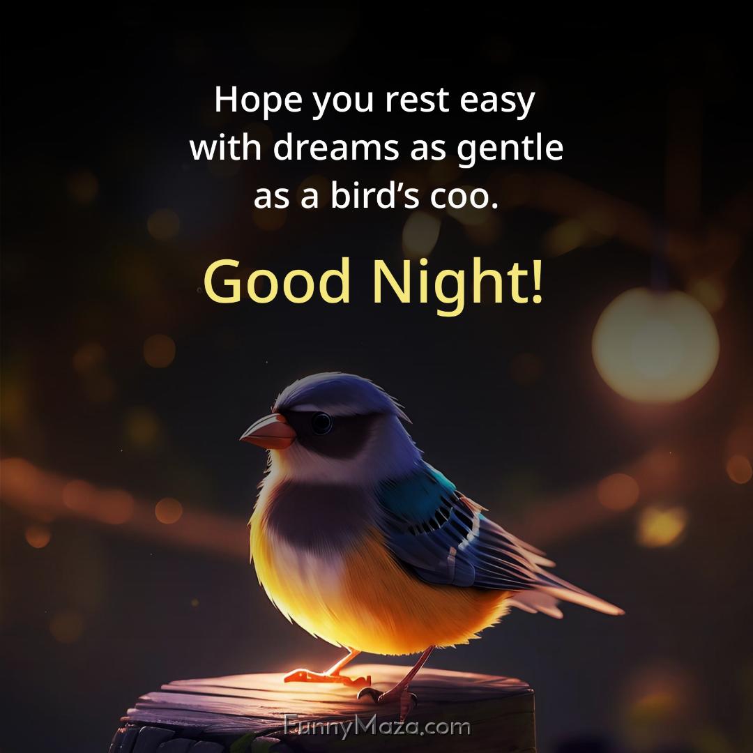 Hope you rest easy with dreams as gentle as a bird’s