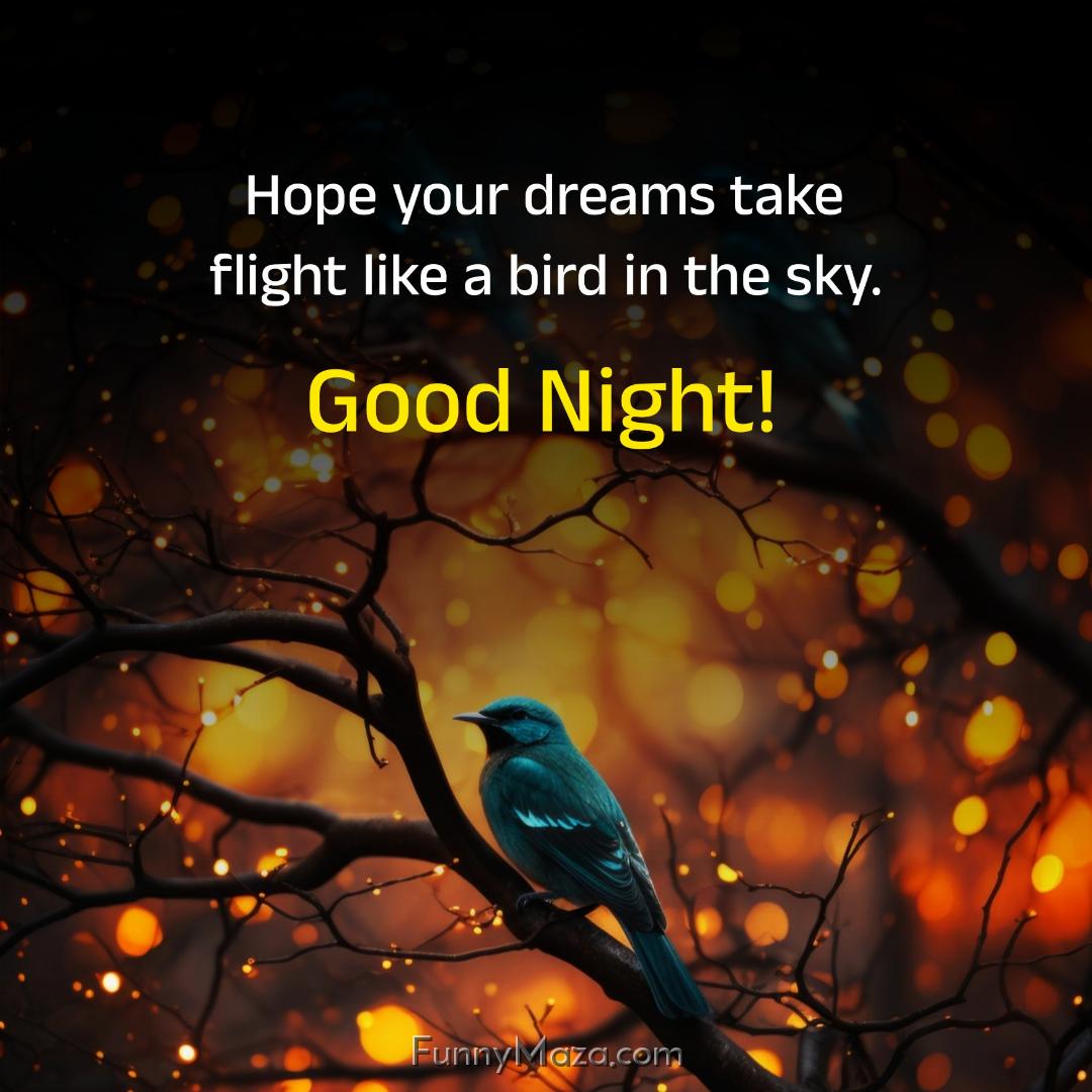 Hope your dreams take flight like a bird in the sky