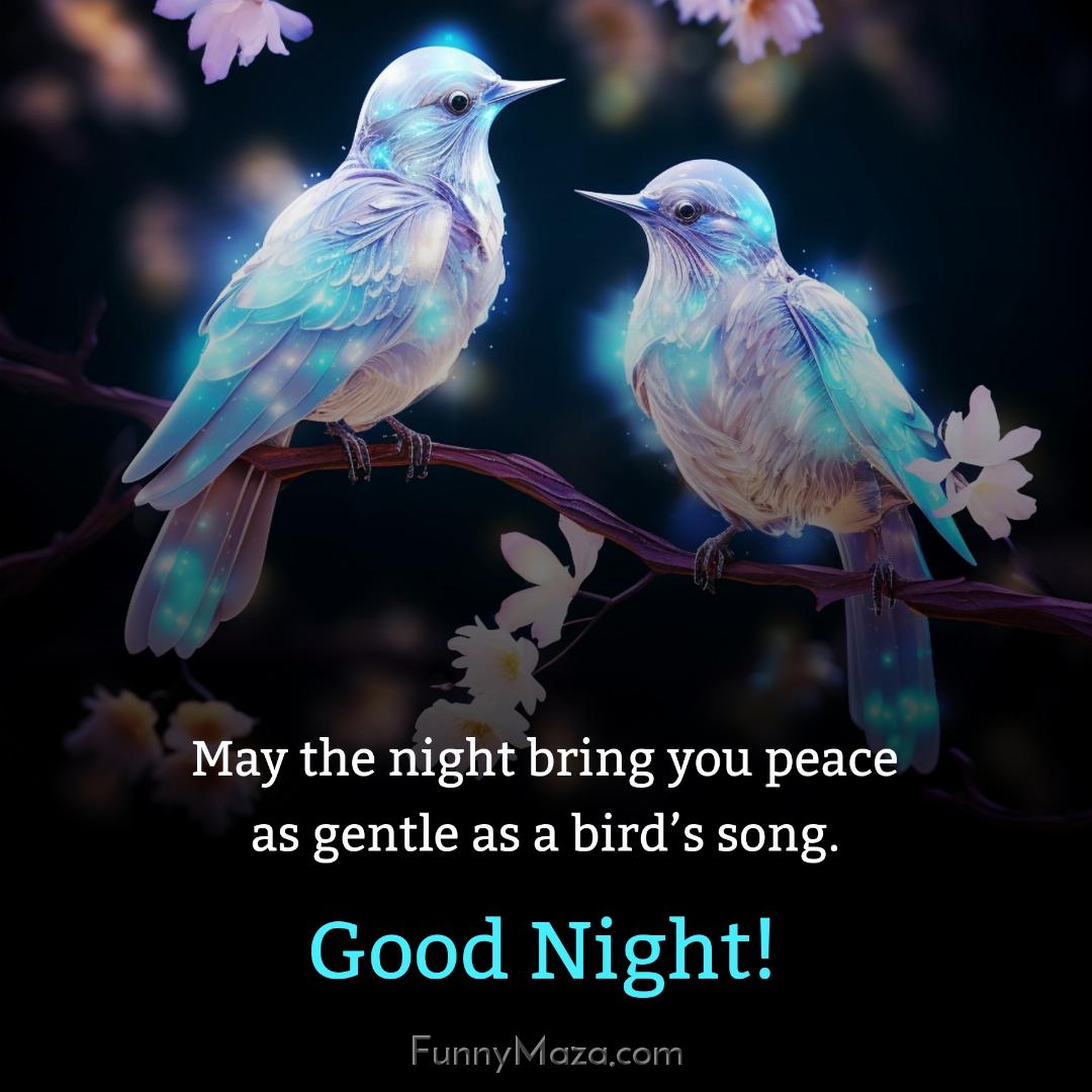 May the night bring you peace as gentle as a bird’s