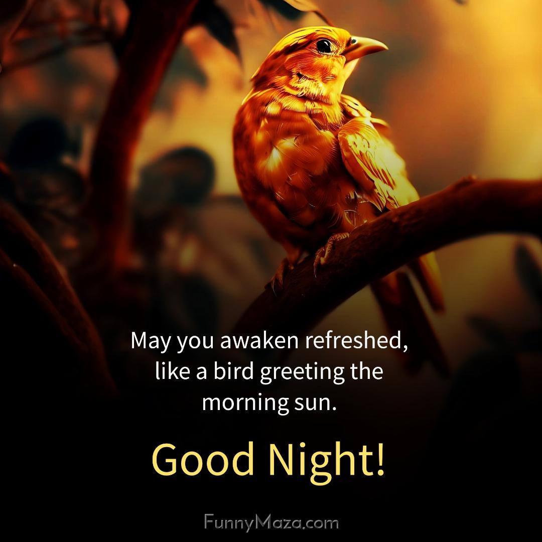 May you awaken refreshed like a bird greeting the morning sun