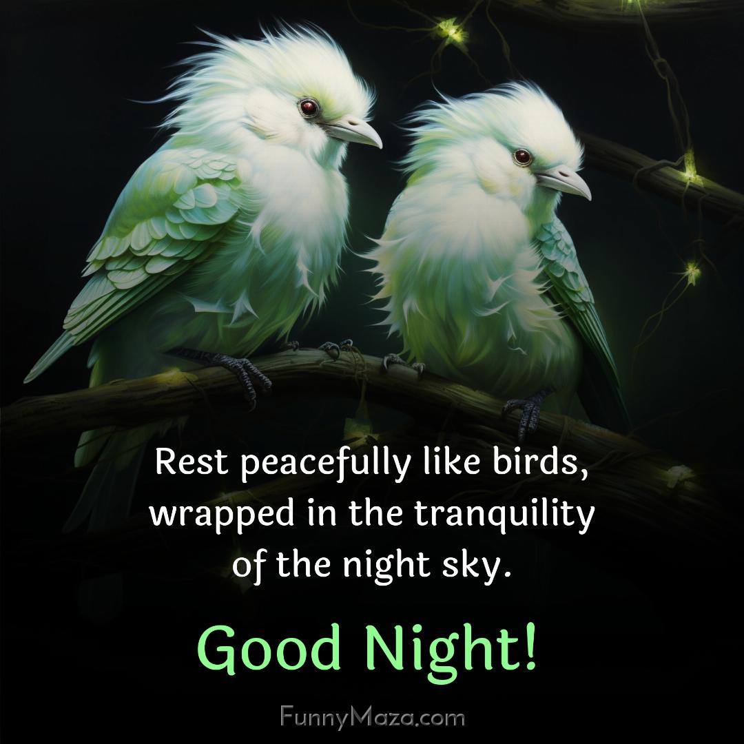 Rest peacefully like birds wrapped in the tranquility of the night