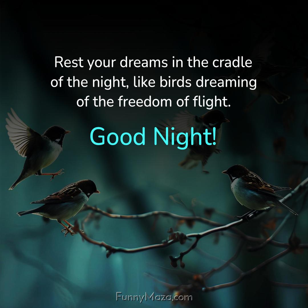 Rest your dreams in the cradle of the night like birds