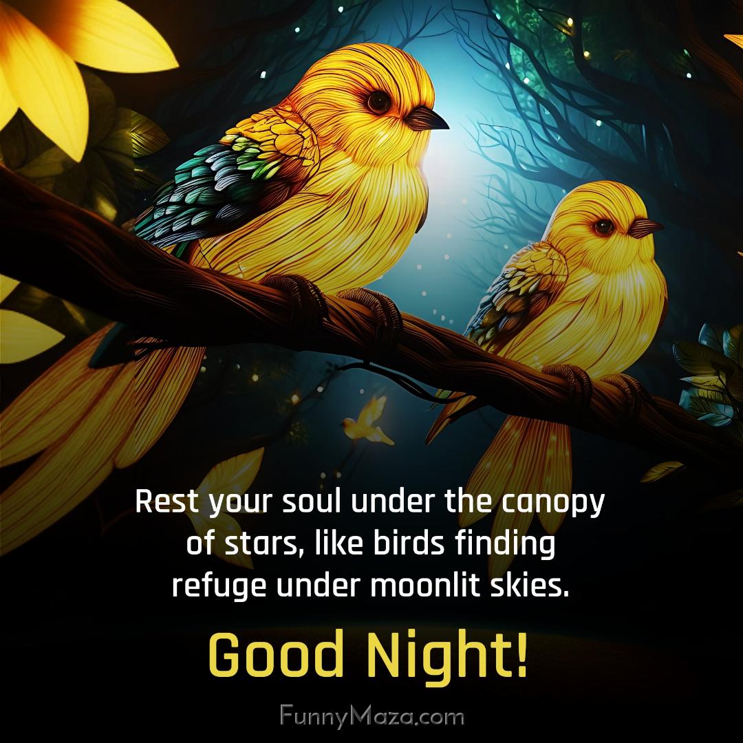 Rest your soul under the canopy of stars like birds finding