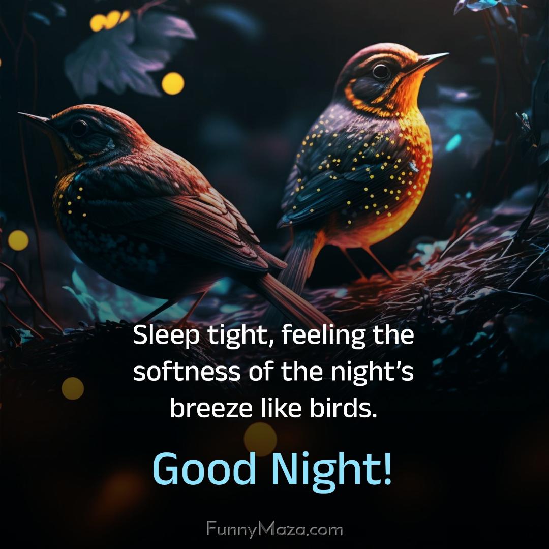 Sleep tight feeling the softness of the night’s breeze like birds