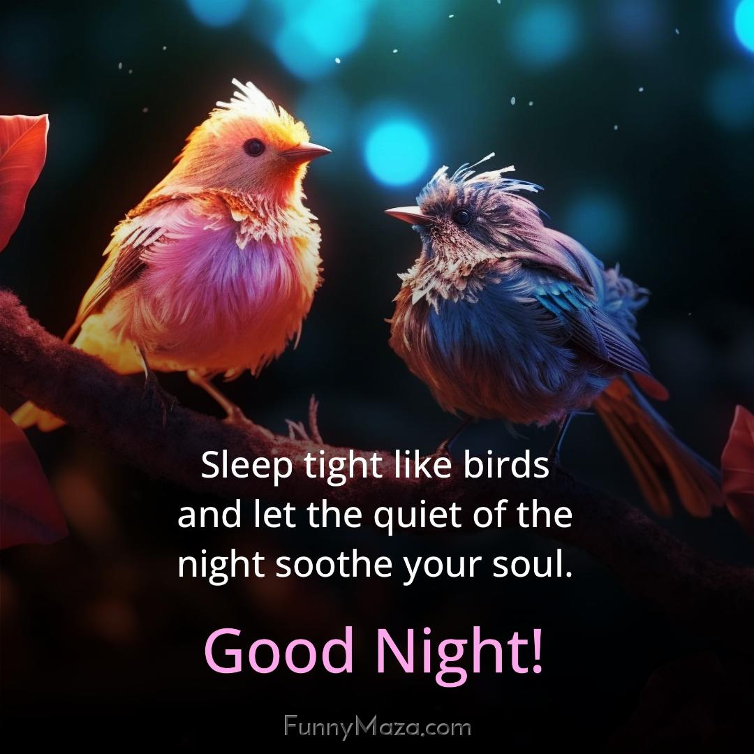 Sleep tight like birds and let the quiet of the night