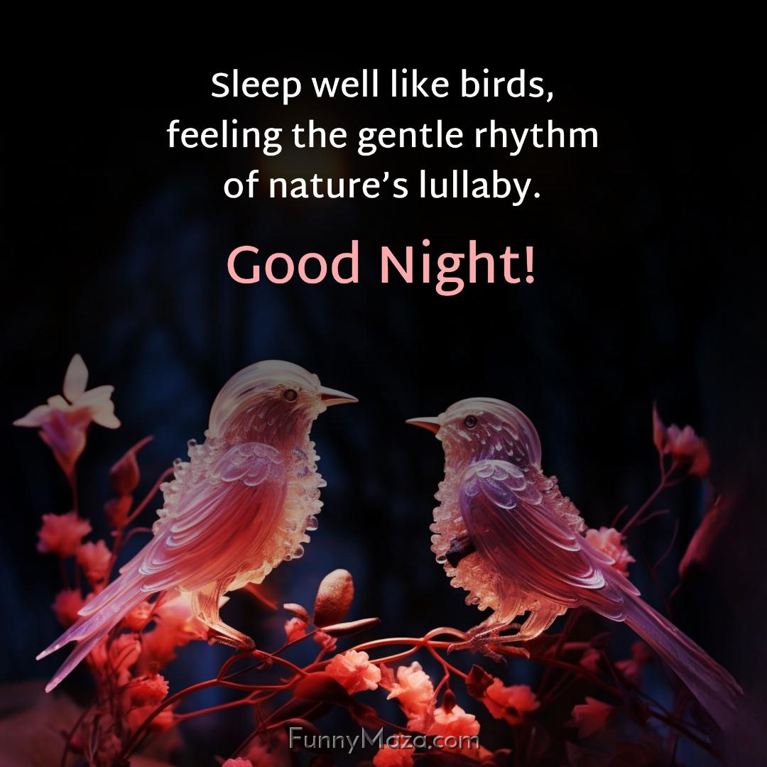 Sleep well like birds feeling the gentle rhythm of nature’s lullaby