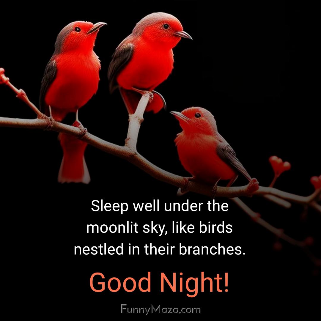 Sleep well under the moonlit sky like birds nestled in their