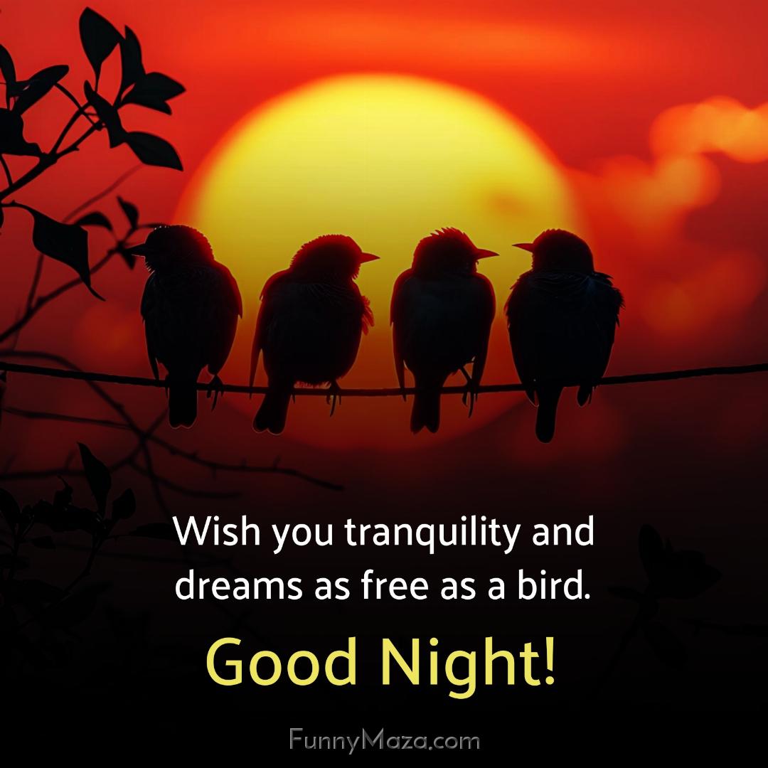 Wish you tranquility and dreams as free as a bird