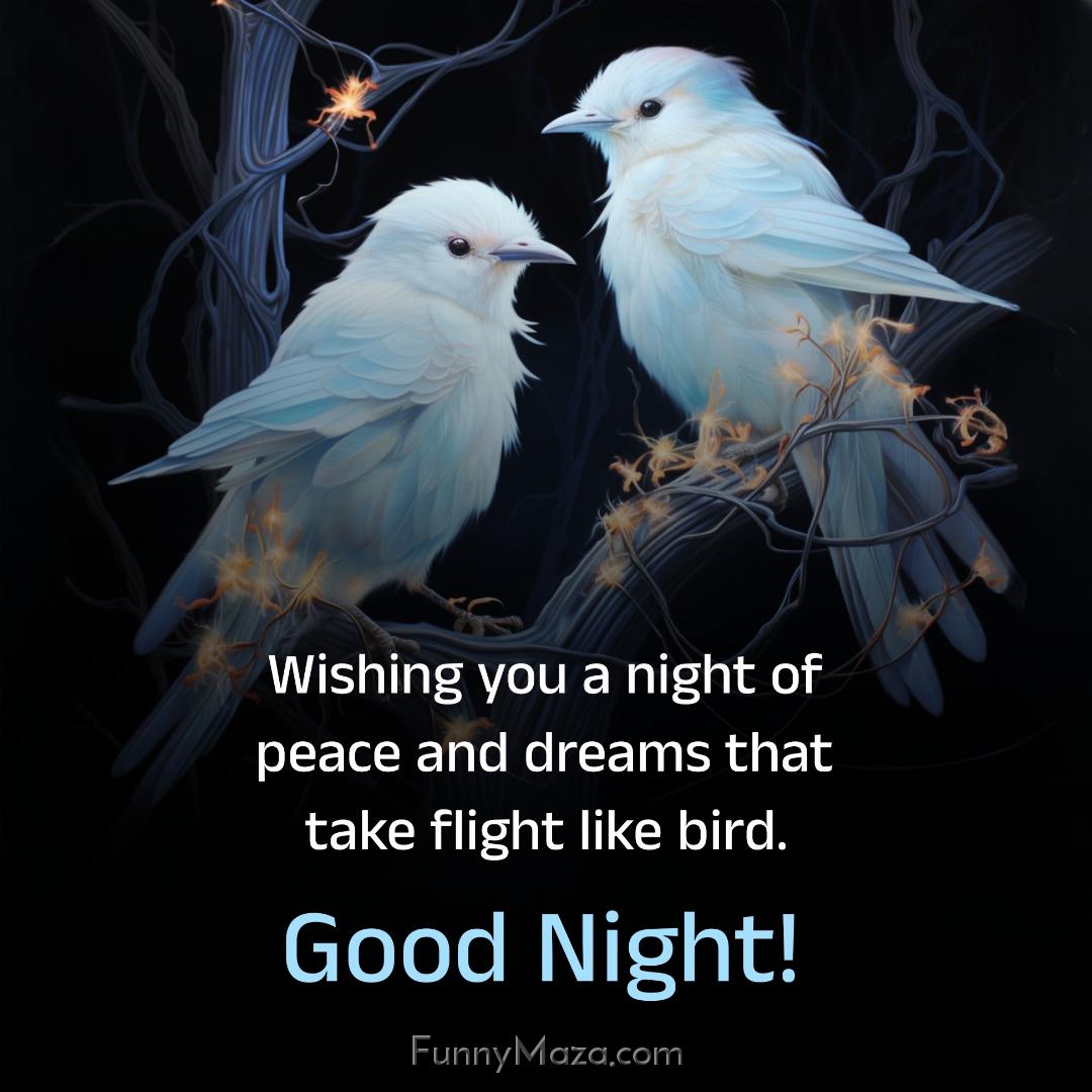 Wishing you a night of peace and dreams that take flight