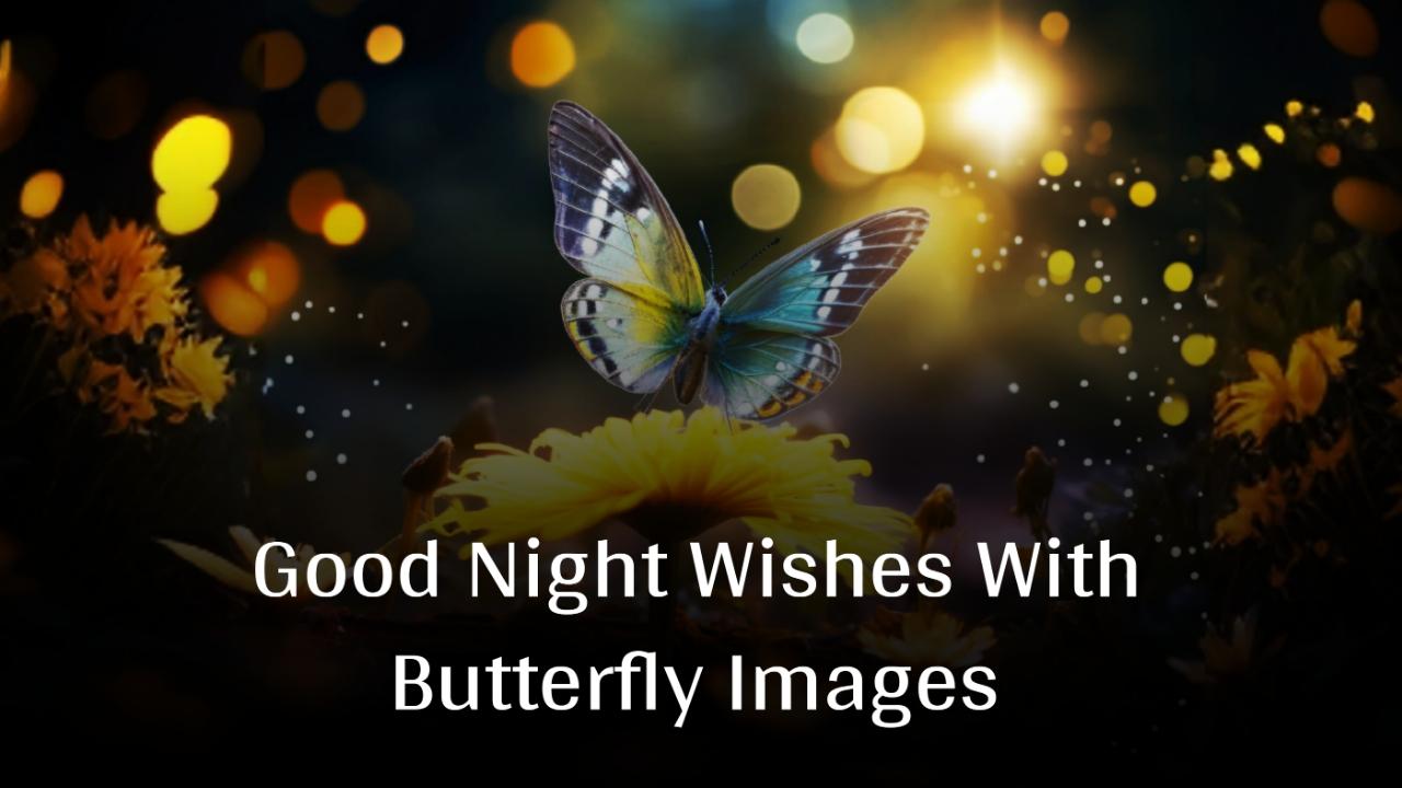 Good Night Wishes With Butterfly Images