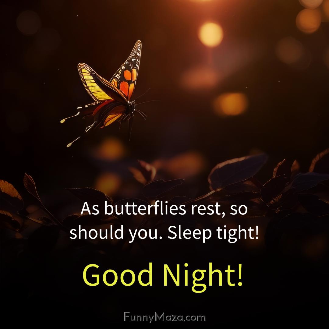 As butterflies rest so should you Sleep tight!