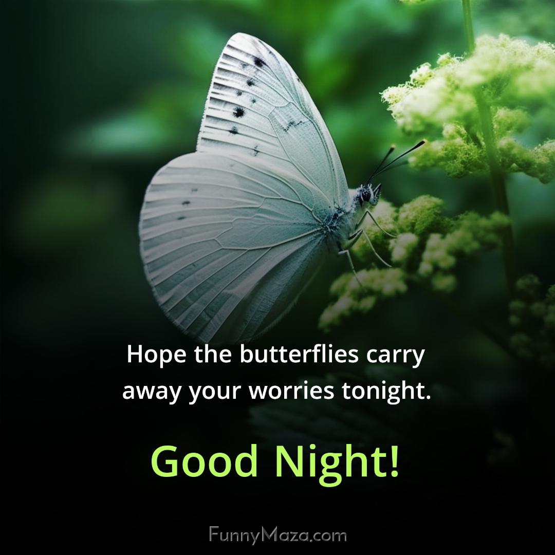 Hope the butterflies carry away your worries tonight