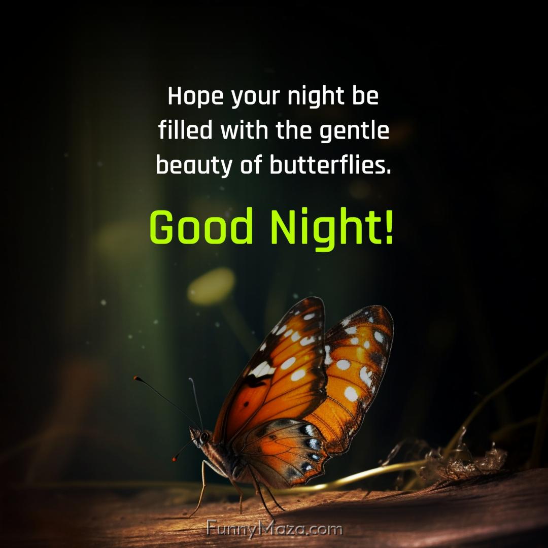 Hope your night be filled with the gentle beauty of butterflies