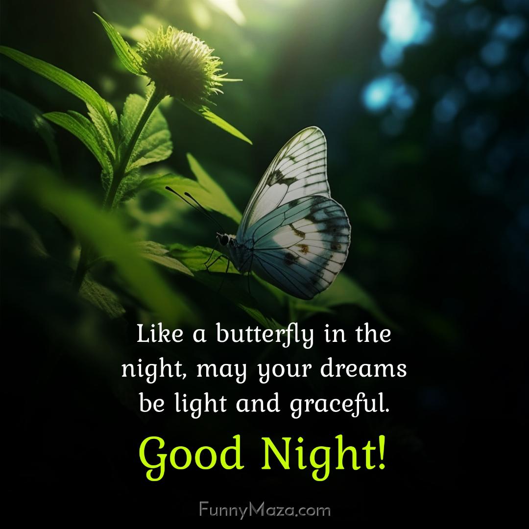 Like a butterfly in the night may your dreams be light