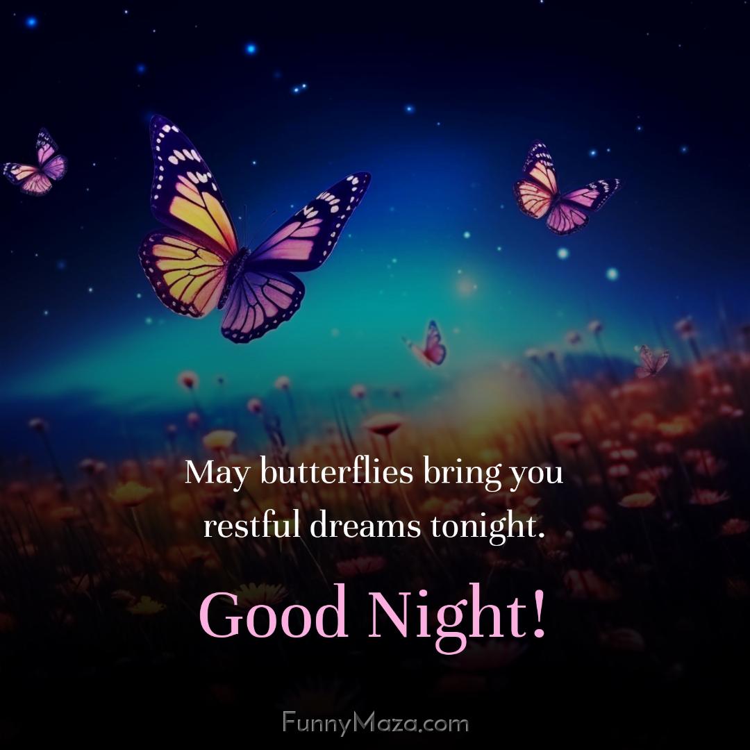 May butterflies bring you restful dreams tonight